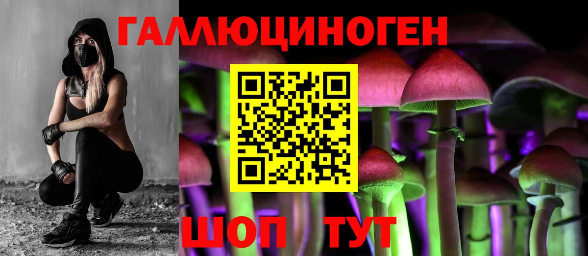 Псилоцибиновые грибы Psilocybe  Вход с VPN  Псилоцибиновые грибы ЛСД  Костомукша 